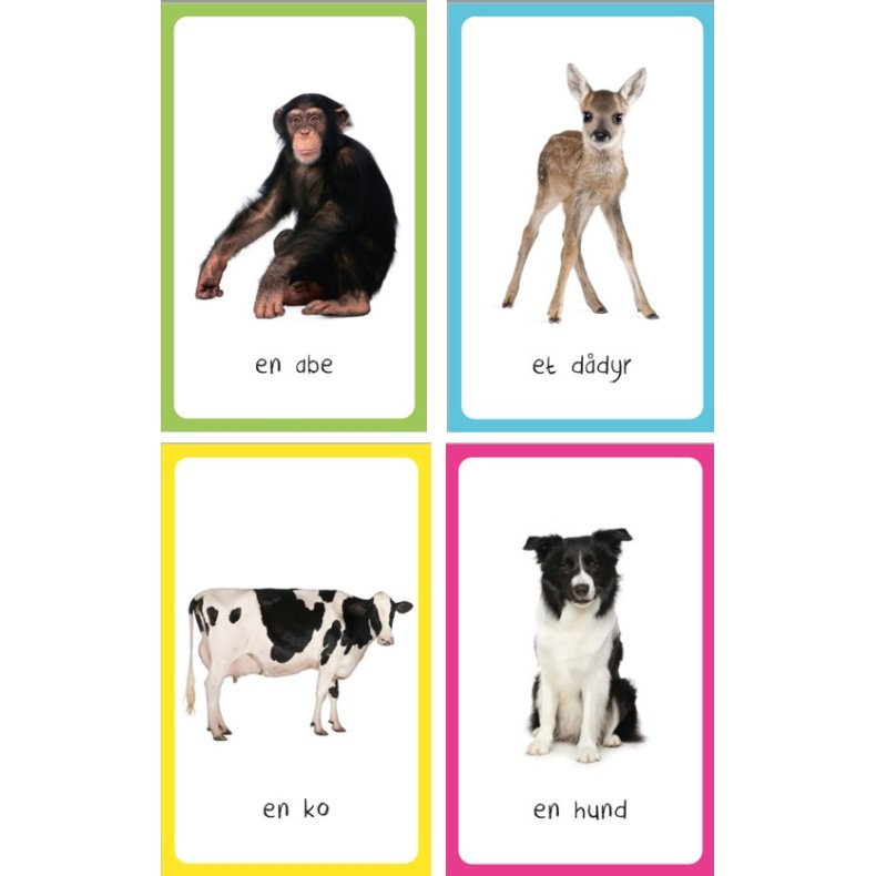 Mine frste lege-lre-kort: DYR